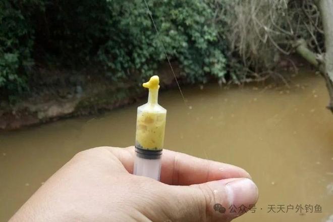 注射器上饵料(注射器上饵钓小鲫鱼效果)