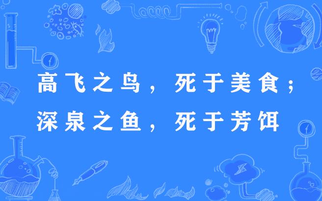 漂饵料俗语(漂在前,饵料在后是什么原因?)