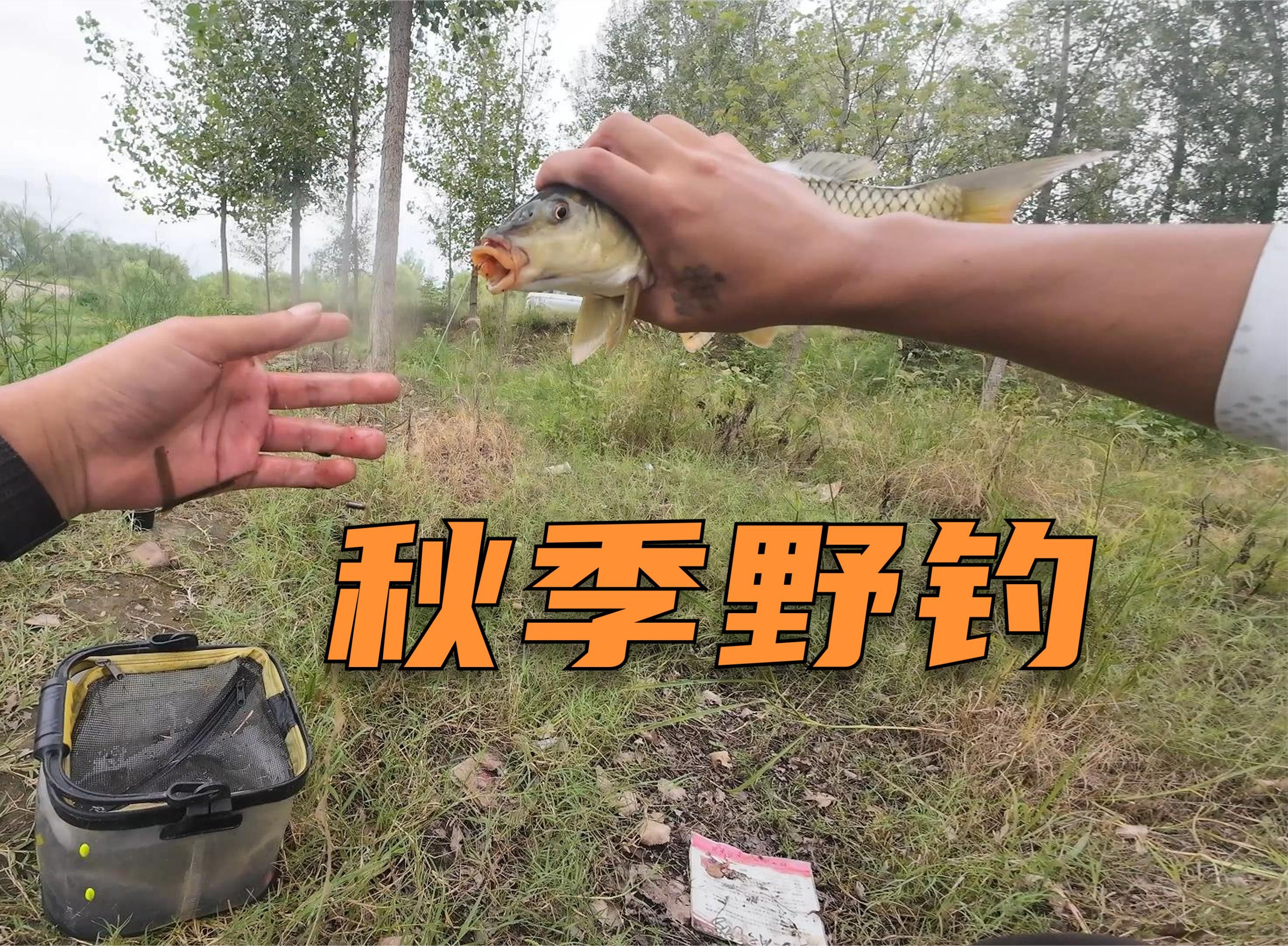 深秋钓鱼的这些技巧(深秋钓鱼的这些技巧有哪些)