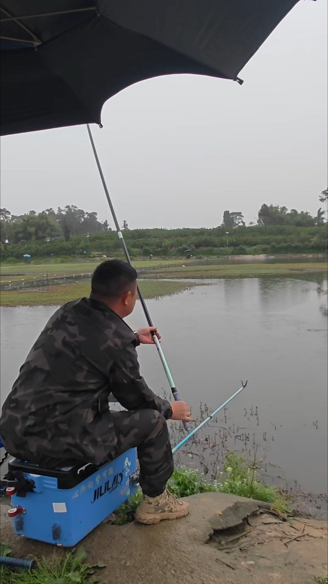 钓丁贵鱼技巧(钓丁贵鱼技巧视频)