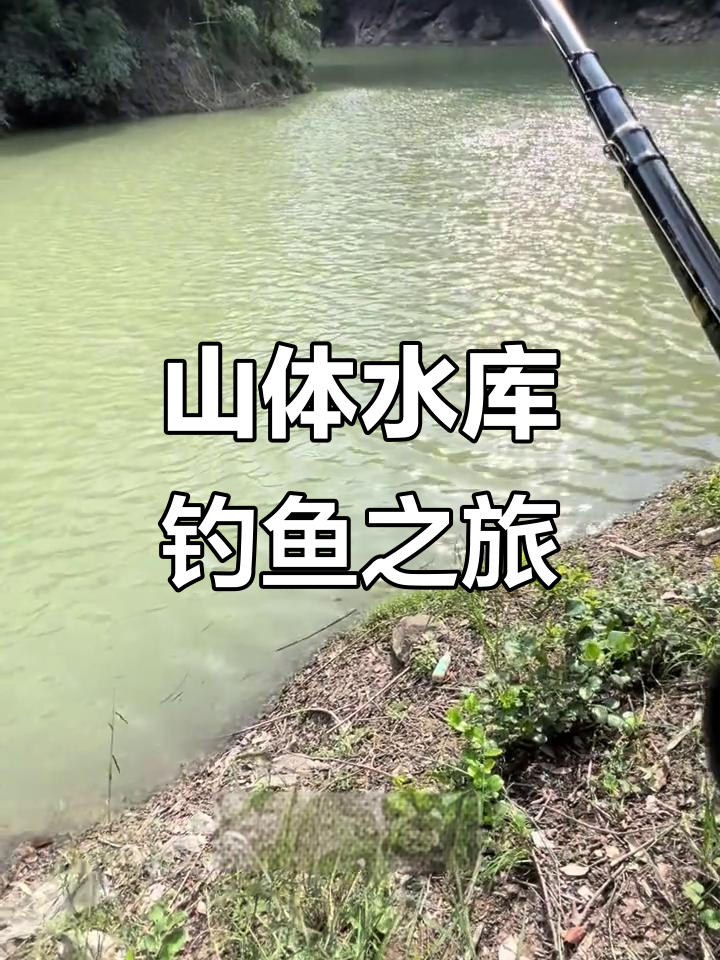 贵州水库钩鱼技巧视频(贵州水库有什么鱼)