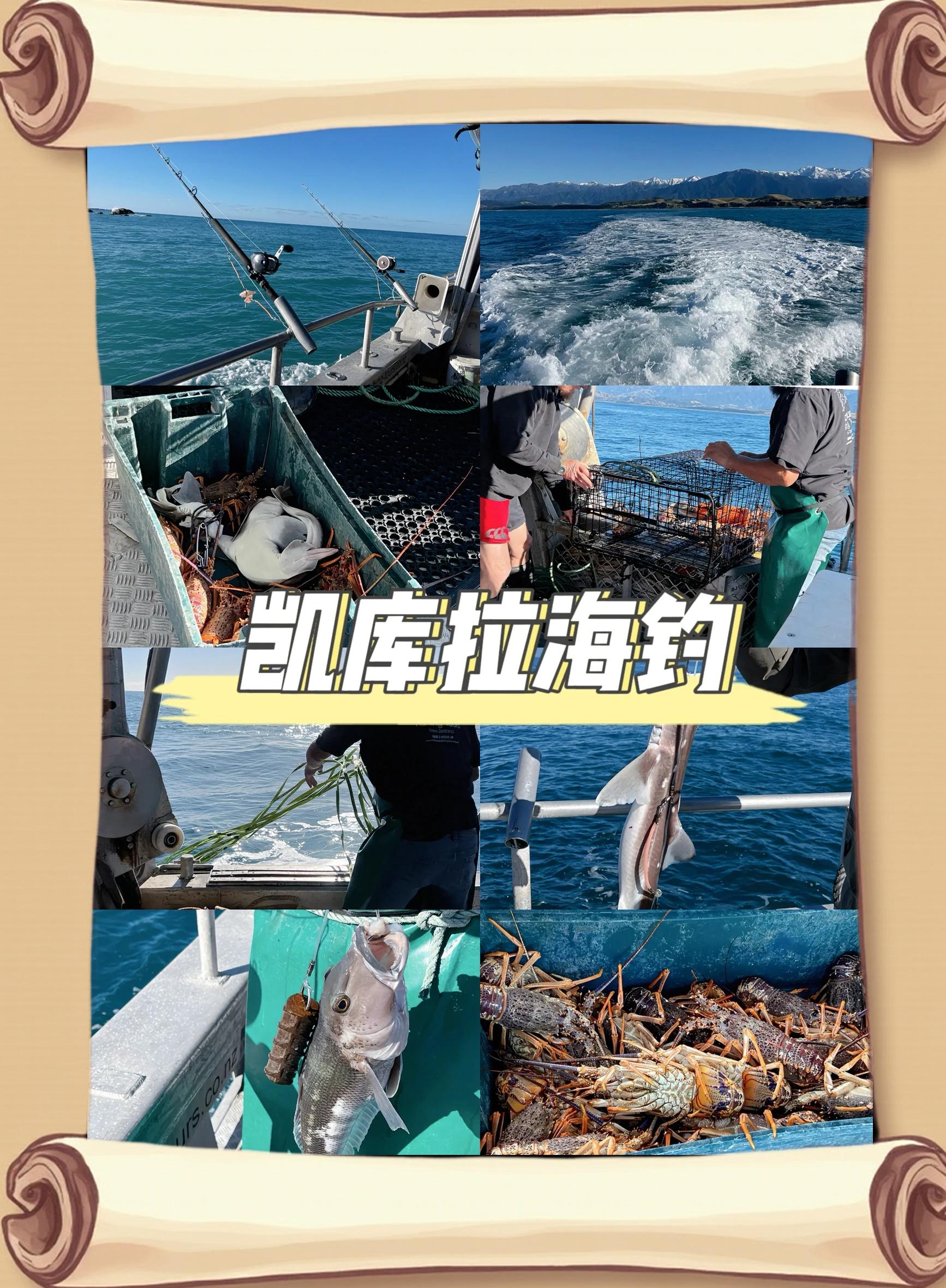 海钓鲷鱼技巧(海钓鲷鱼用什么鱼饵)
