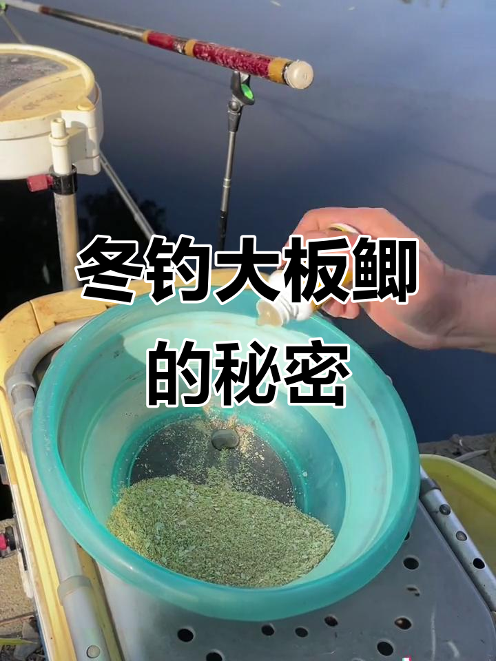 钓鱼的饵料安装(钓鱼的饵料安装方法)