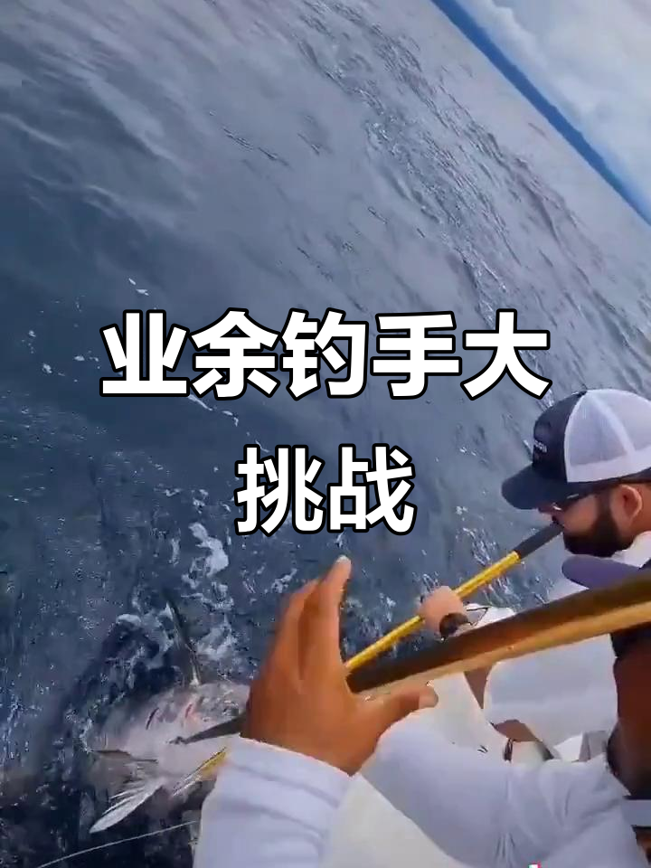 业余钓鱼技巧(业余钓鱼技巧和方法)