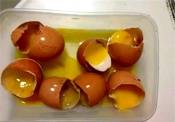 臭鸡蛋鲢鳙饵料(臭鸡蛋钓鱼个人使用心得)