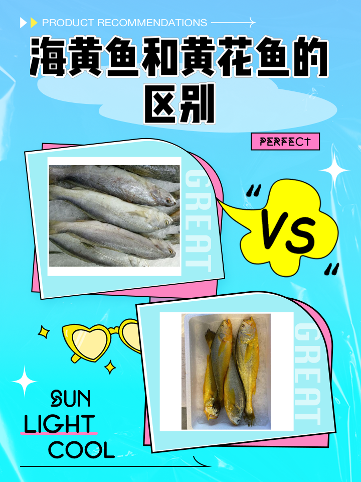 海里掉黑鱼黄鱼技巧(海里掉黑鱼黄鱼技巧视频)
