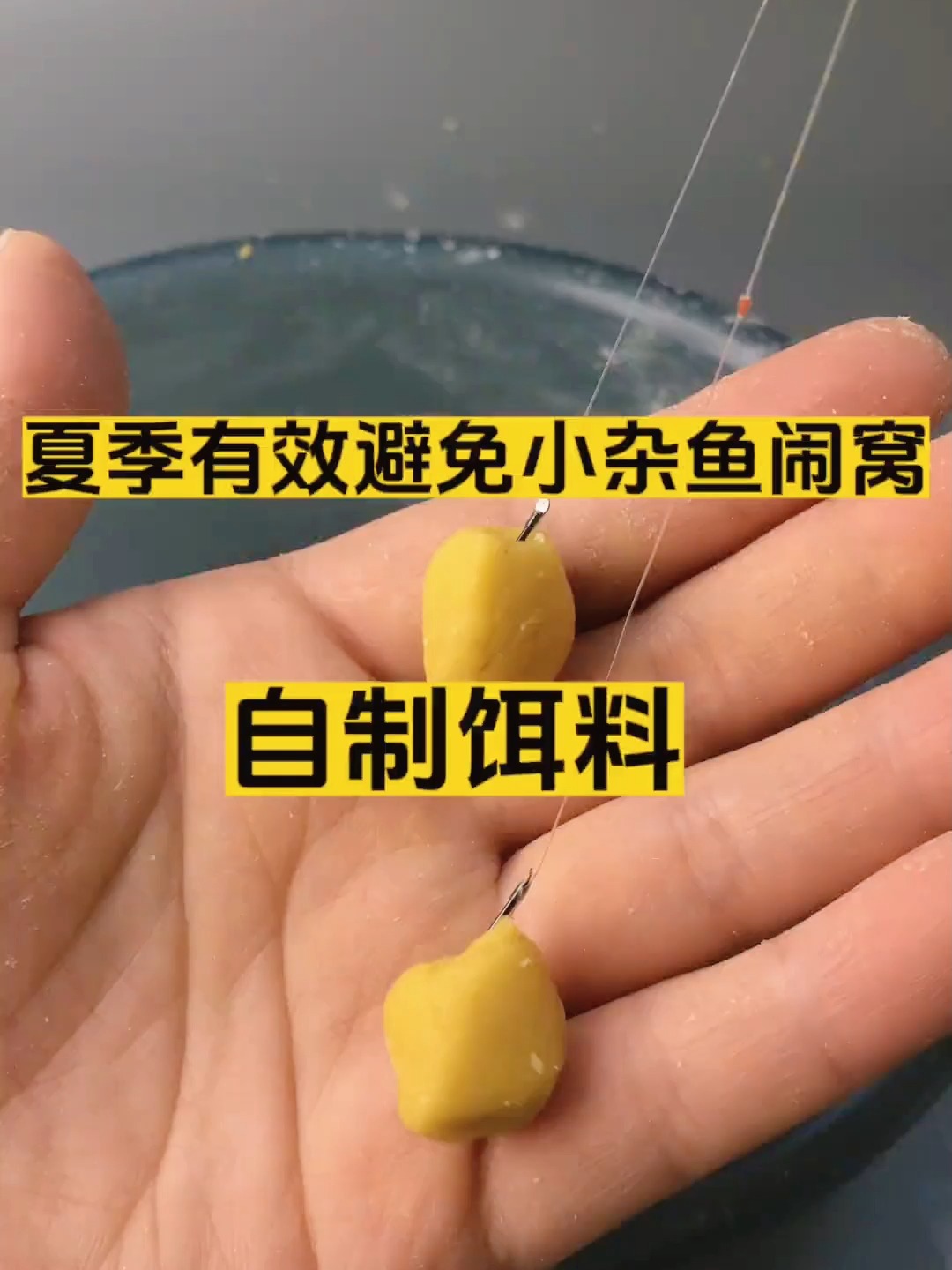 钓鱼饵料diy(钓鱼饵料地狱猫)