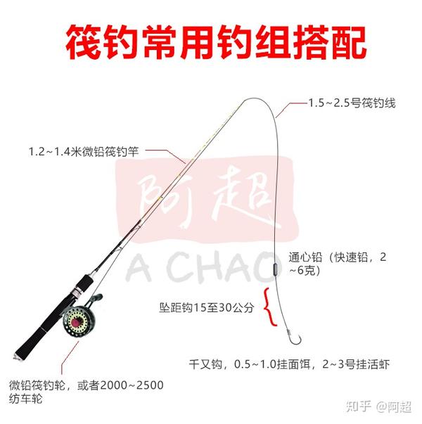 深圳东山鱼排海钓价格(深圳东山鱼排钓鱼)