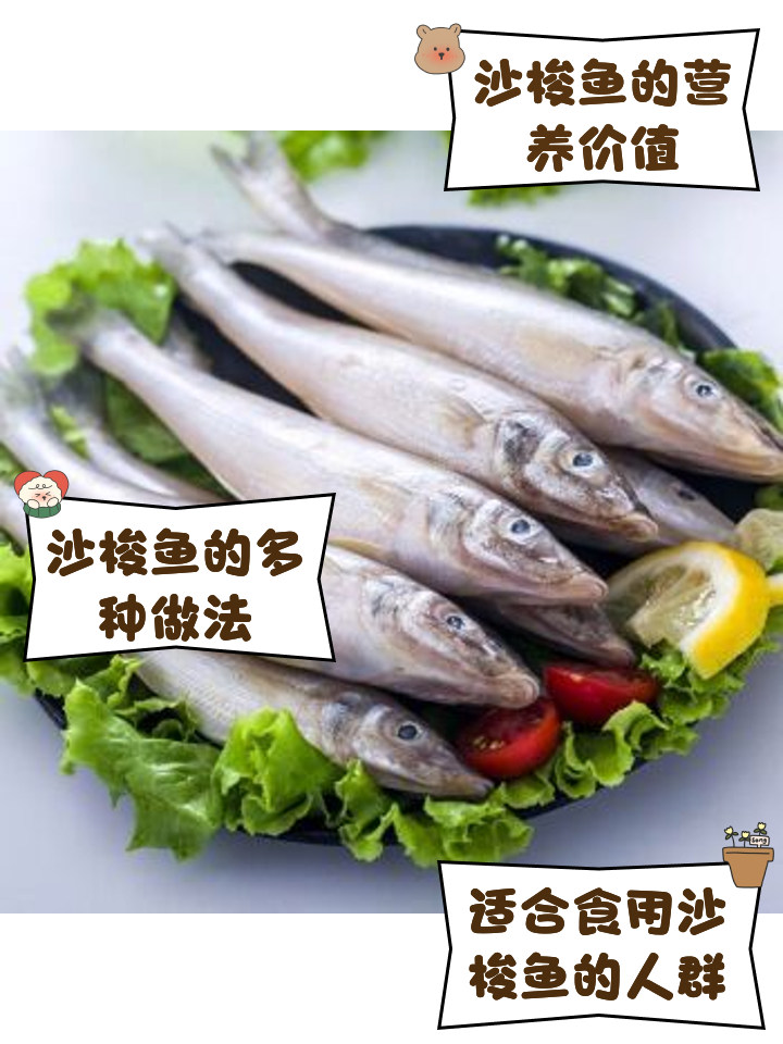 拍梭鱼技巧(拍梭鱼的拍杆是什么鱼竿)