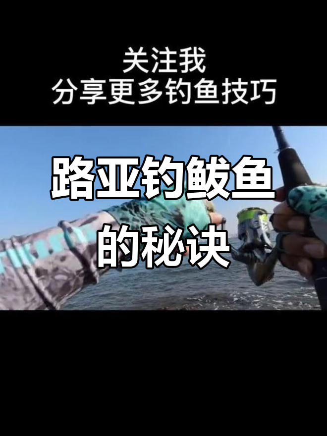 路亚钓鱼的技巧视频大全(路亚钓法视频)