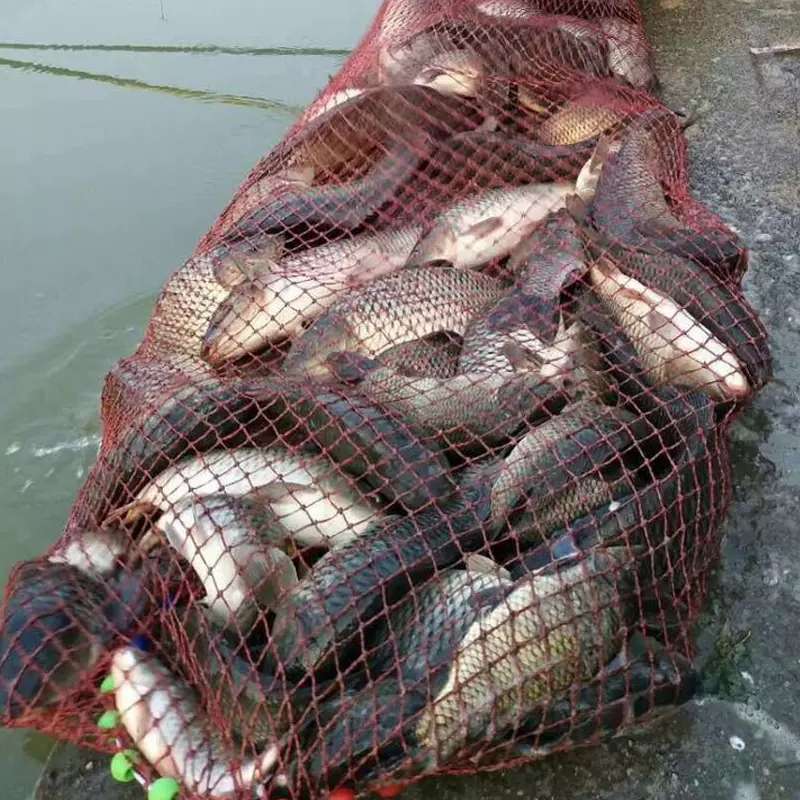 黄面面海钓(钓友公认十款最好海钓竿)