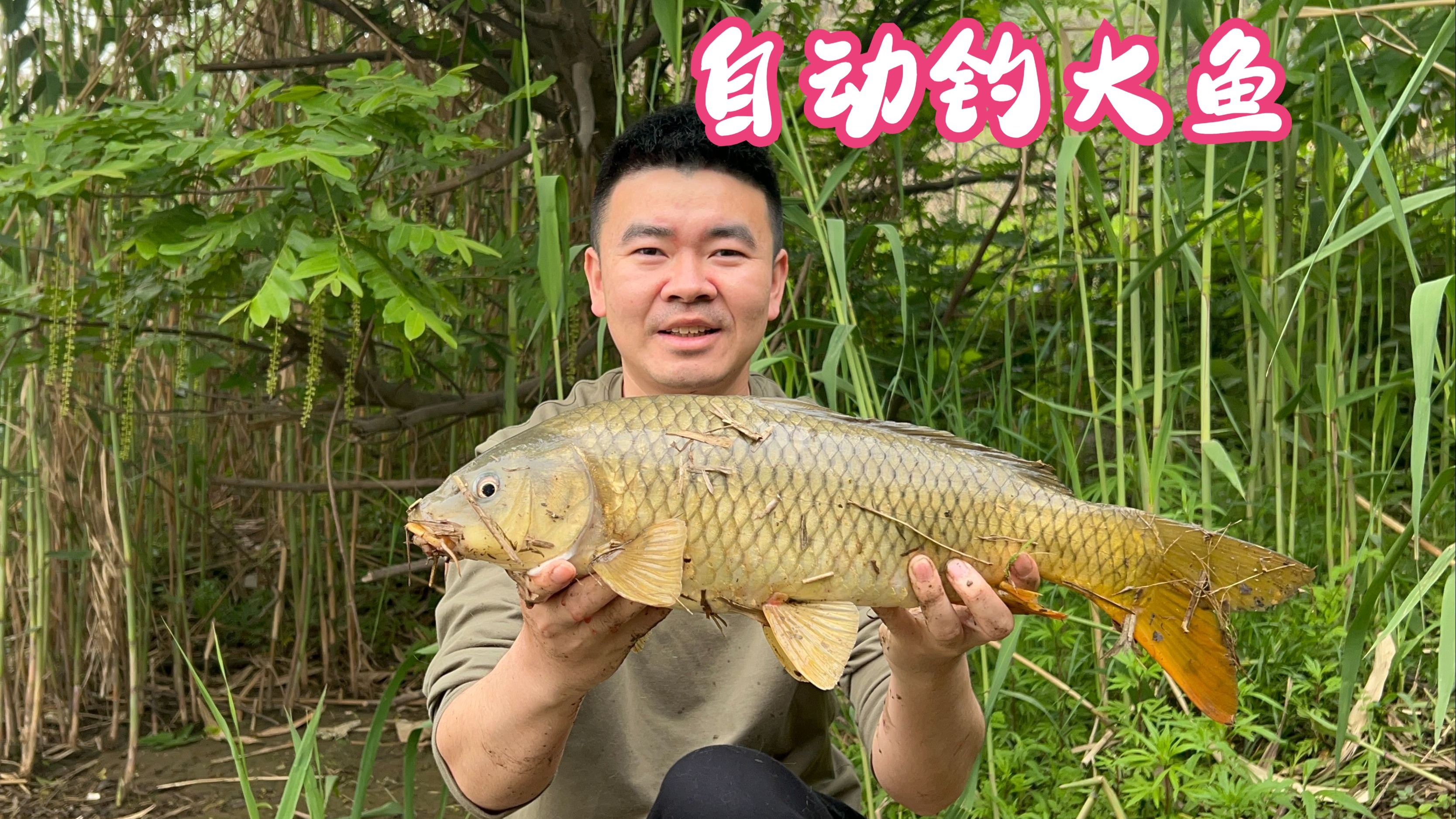 手杆钓鱼大鱼技巧视频(手杆钓技宝典)