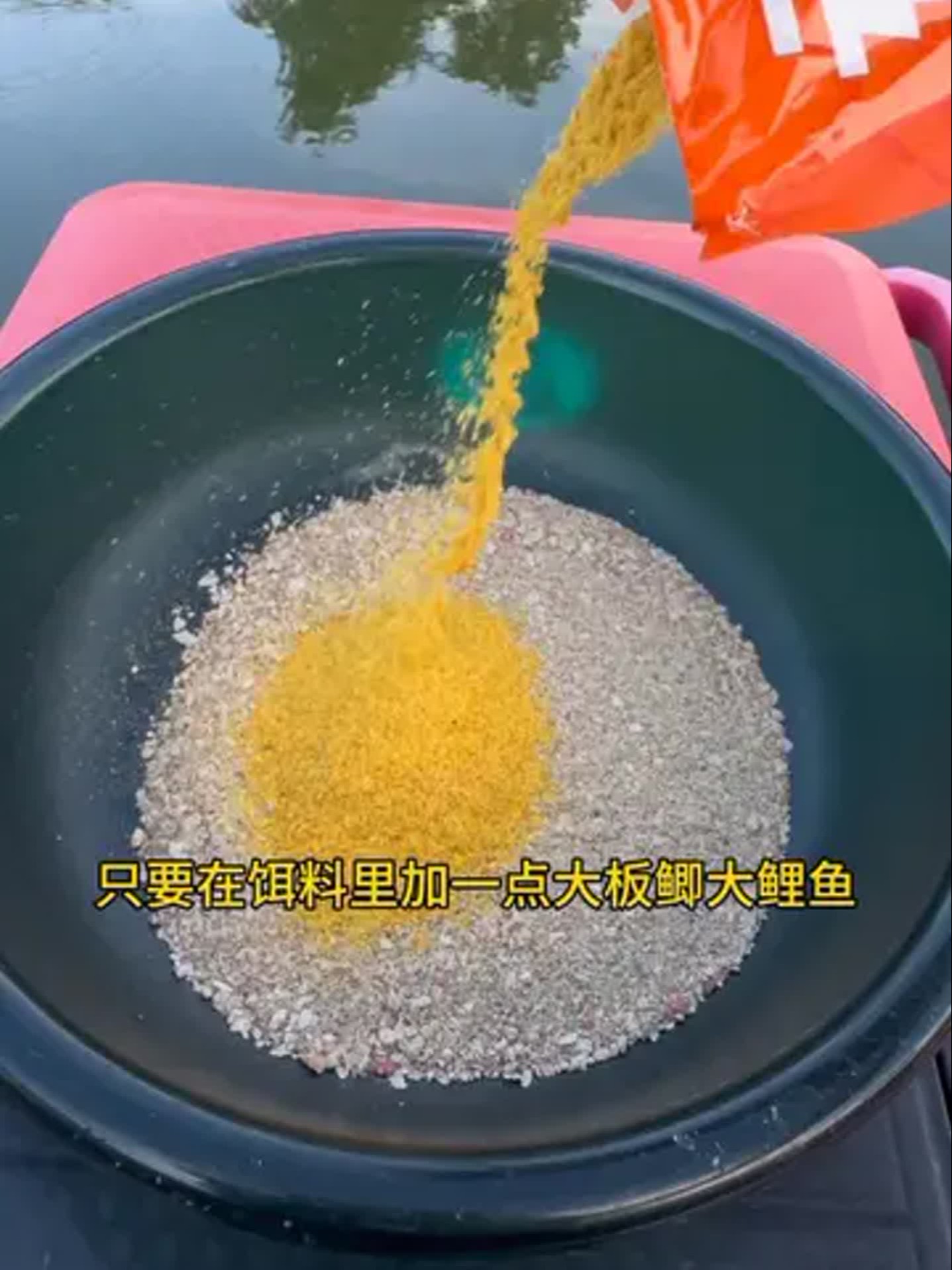 如何开鲤鱼饵料视频(鲤鱼料怎么开)