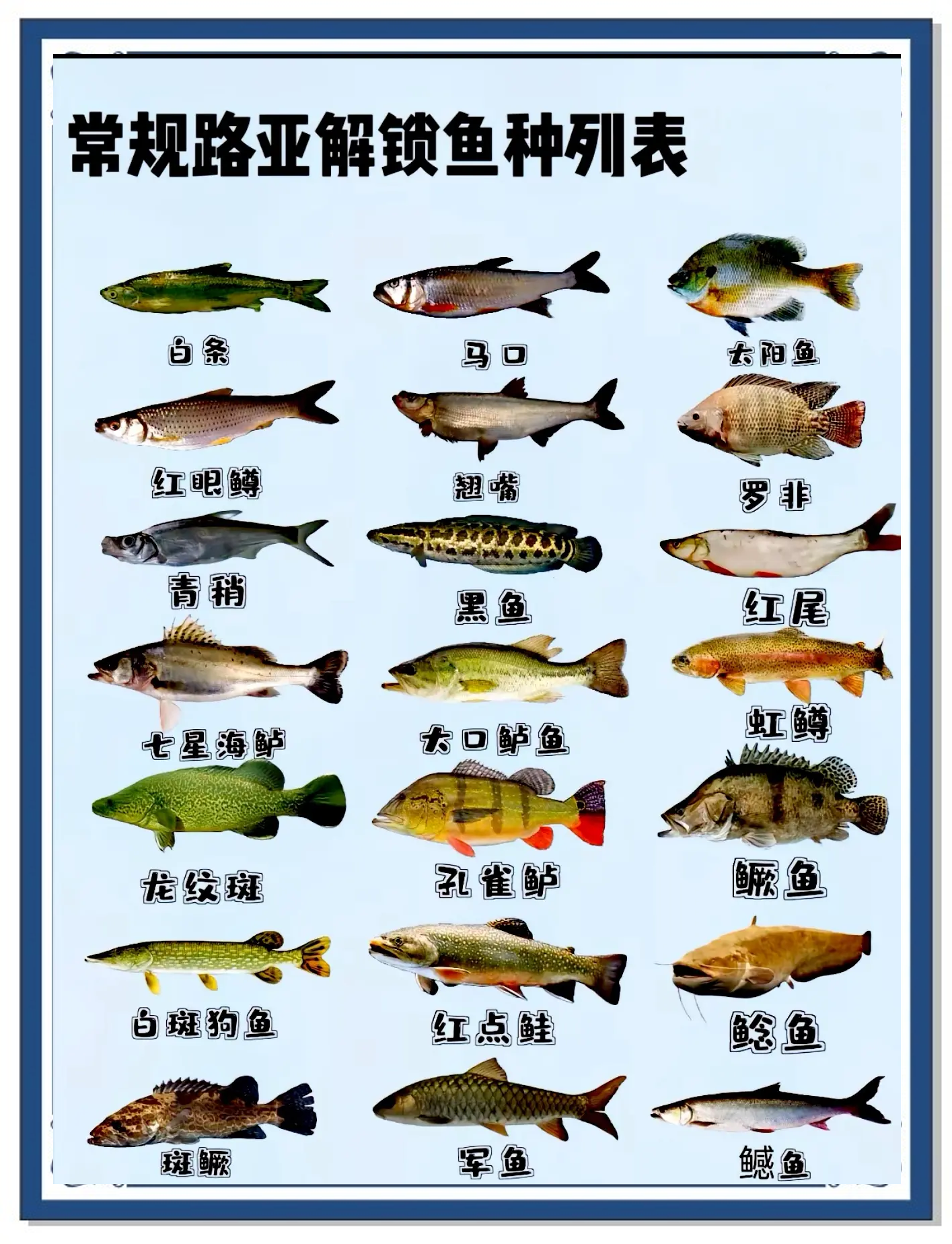 海钓路亚鱼种(路亚海鱼鱼种)
