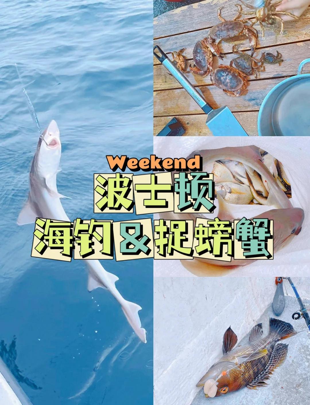 北方海钓螃蟹时间(海里钓螃蟹是什么时候适合钓)