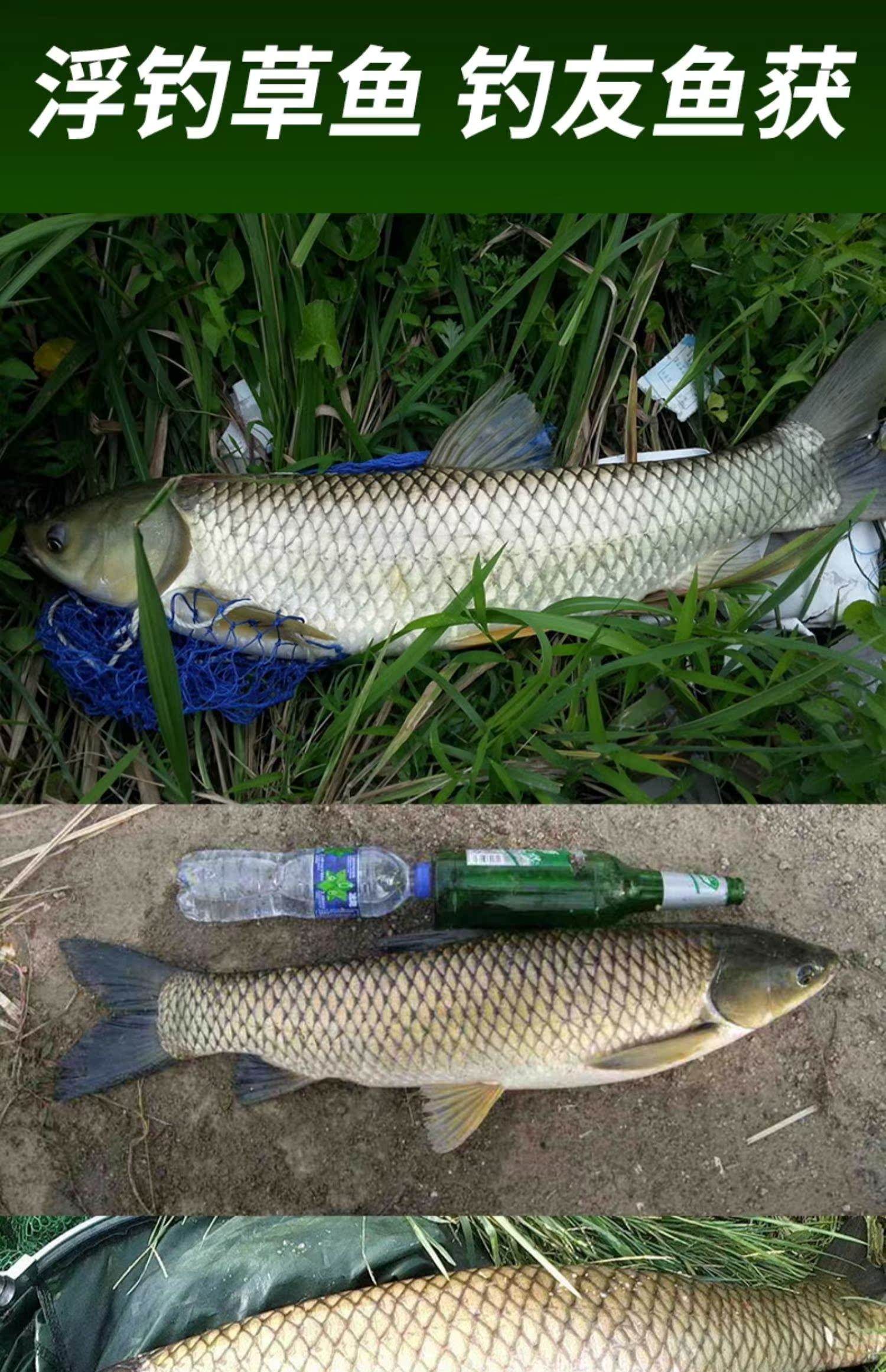 海钓长漂离地(海钓长浮漂与铅坠的组合图解)