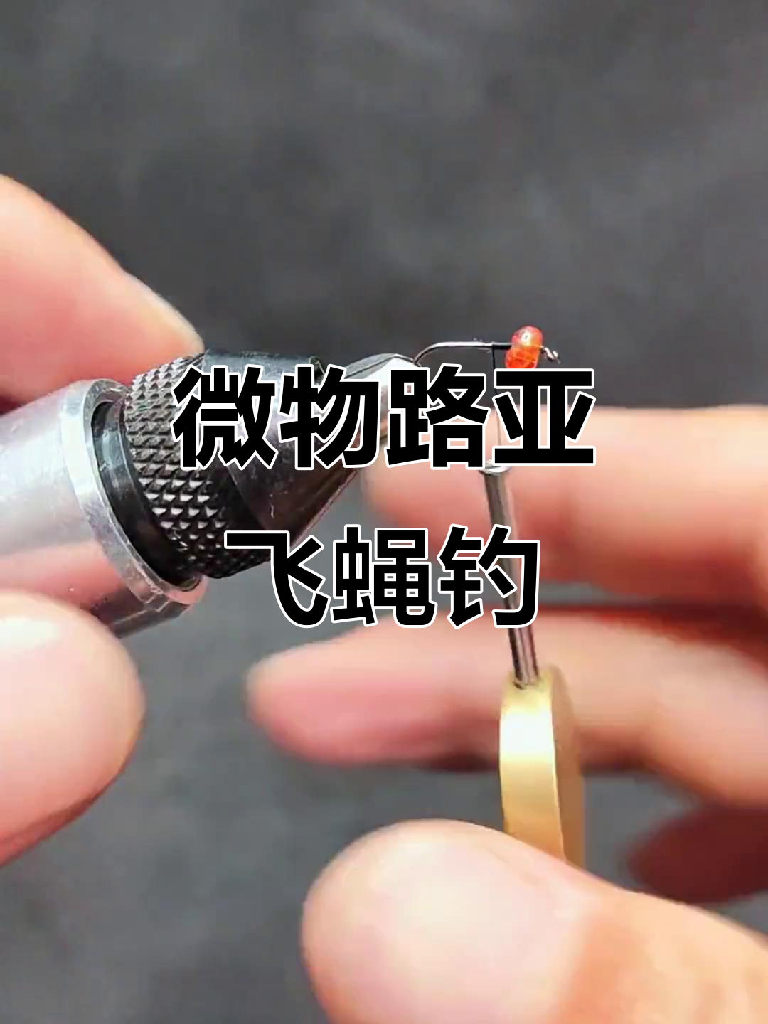 抓白条技巧(怎样捉白条鱼)