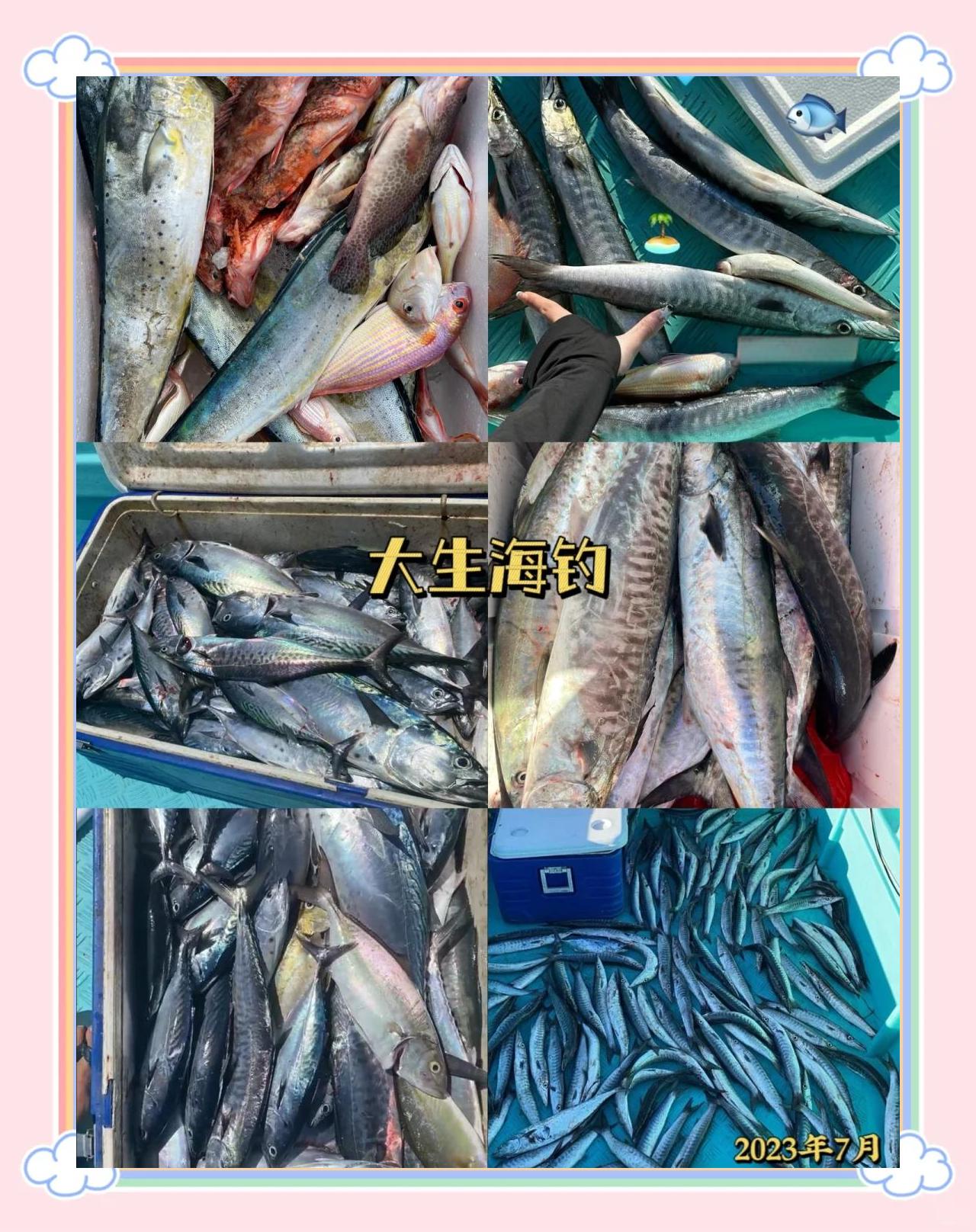 惠州海钓(惠州海钓必去十大地点)