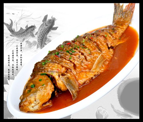 路亚黄河鲤鱼(用路亚竿钓鲤鱼的最新方法)
