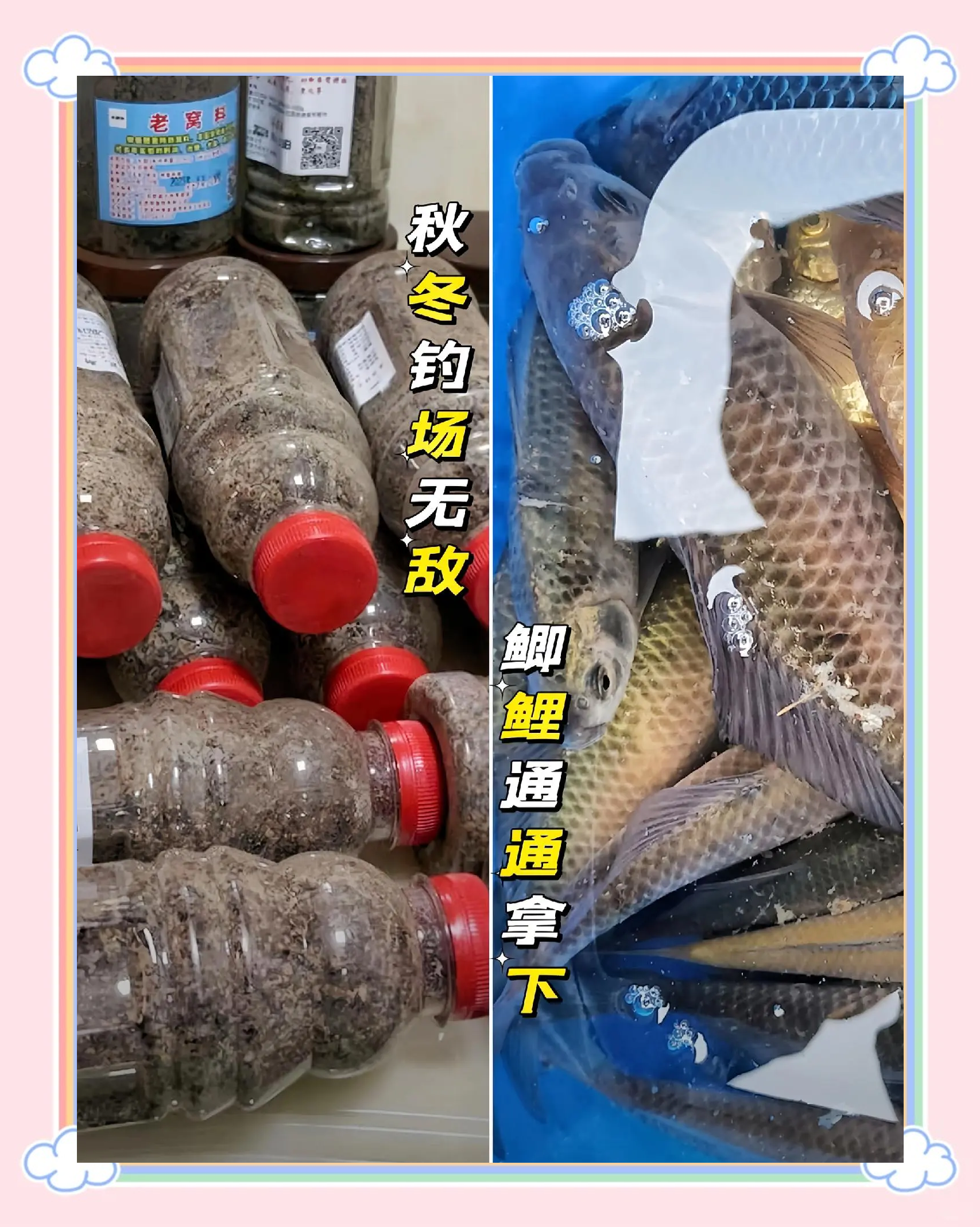 冬天打窝饵料(冬天打窝饵料哪个好)