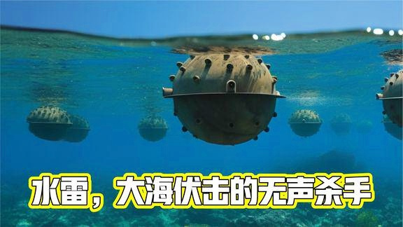 水雷如何上饵料(水雷饵料钓水雷钓笼的使用方法)