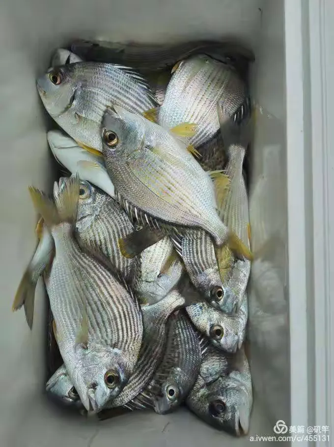 洛溪海钓俱乐部价钱(海钓俱乐部需要什么手续)