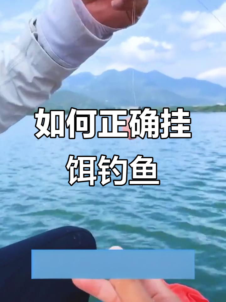 钓鲢鳙鱼技巧手竿(高手钓鲢鳙)