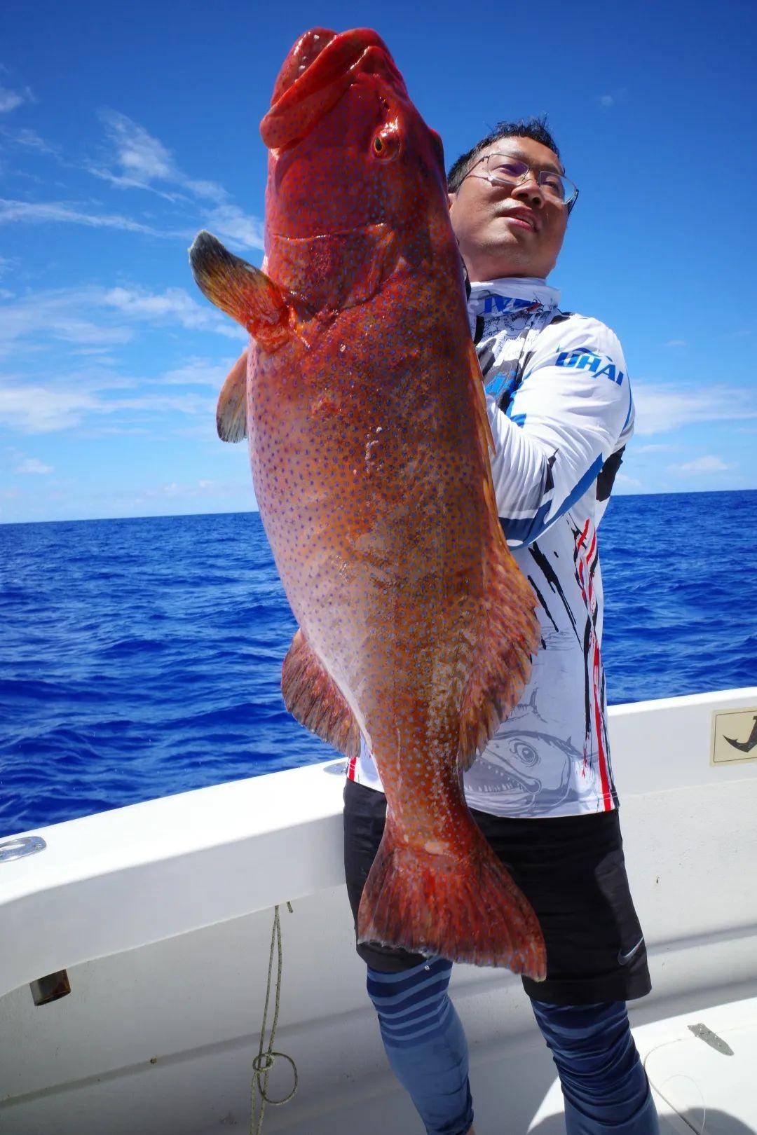 台海断层海钓(台湾海峡断层钓鱼)