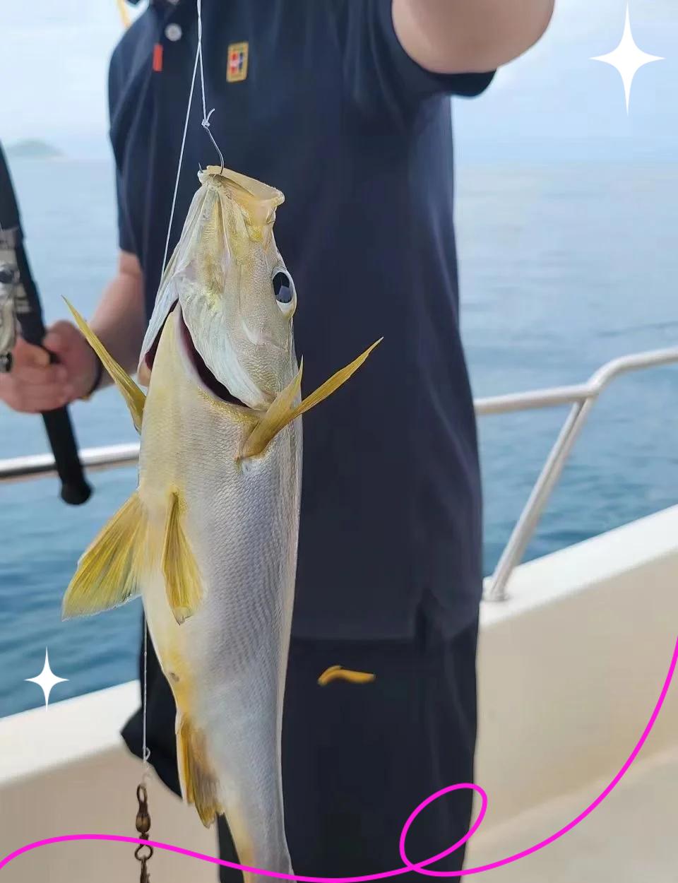 台海断层海钓(台湾海峡断层钓鱼)