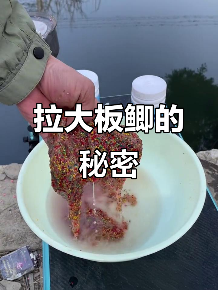 狂拉大板鲫饵料怎么样(狂拉大板鲫什么味型)