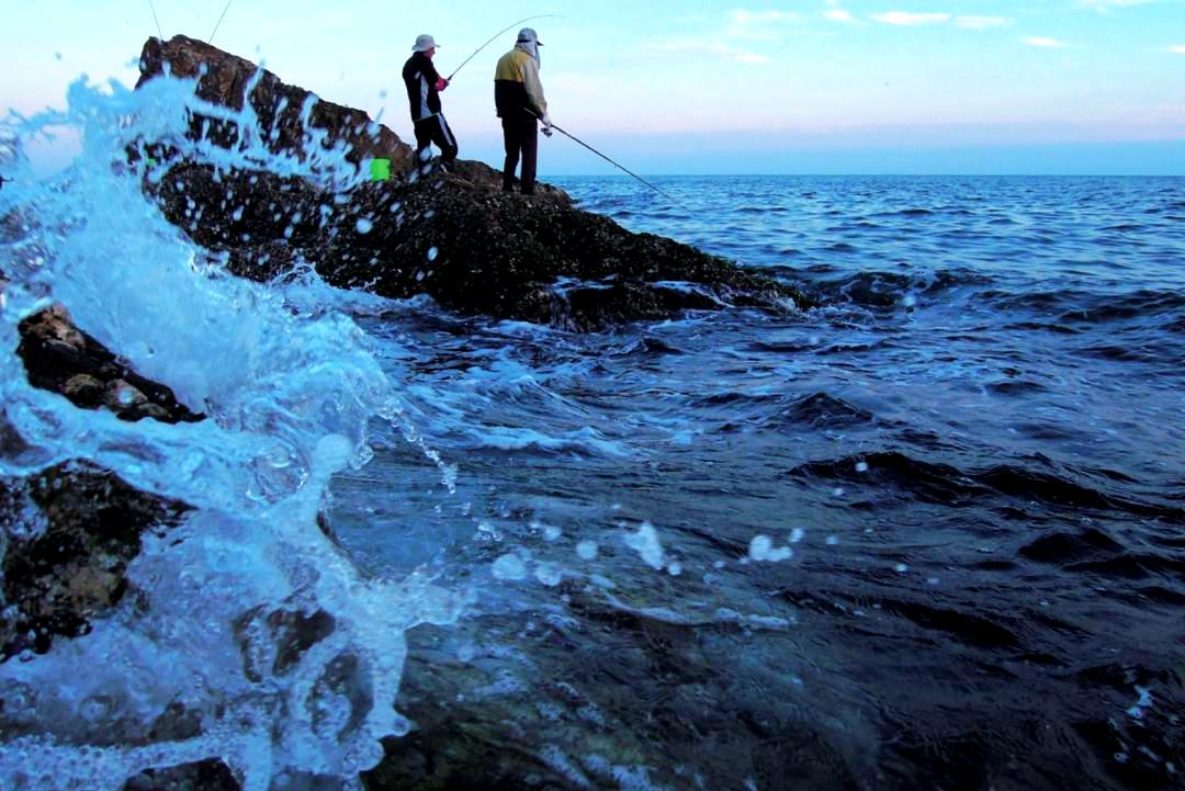 海提钓鱼技巧(海堤钓鱼用什么鱼竿最好)