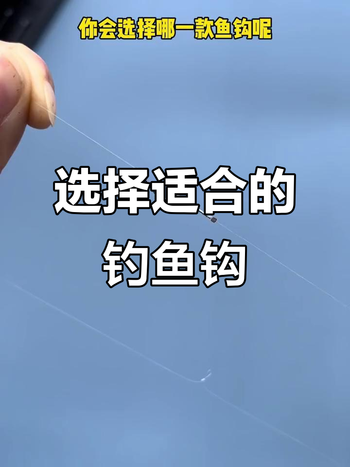 麦钩钓鲤鱼技巧(谷麦钓鲤鱼最新配方)