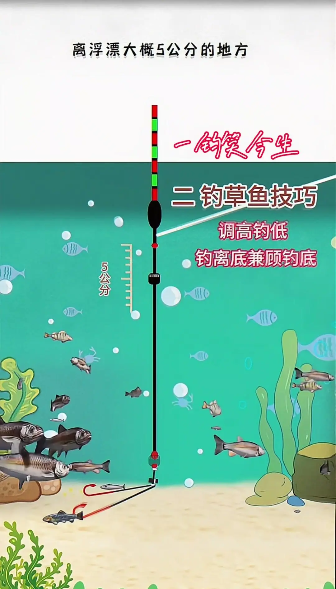 夏天钓草鱼技巧(夏天如何垂钓草鱼)