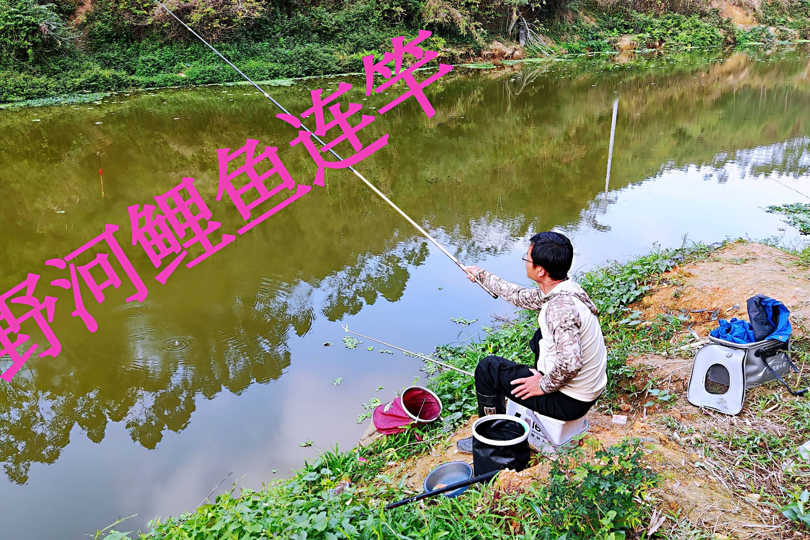 夏天河流钓鲤鱼技巧(夏天河流野钓攻略)