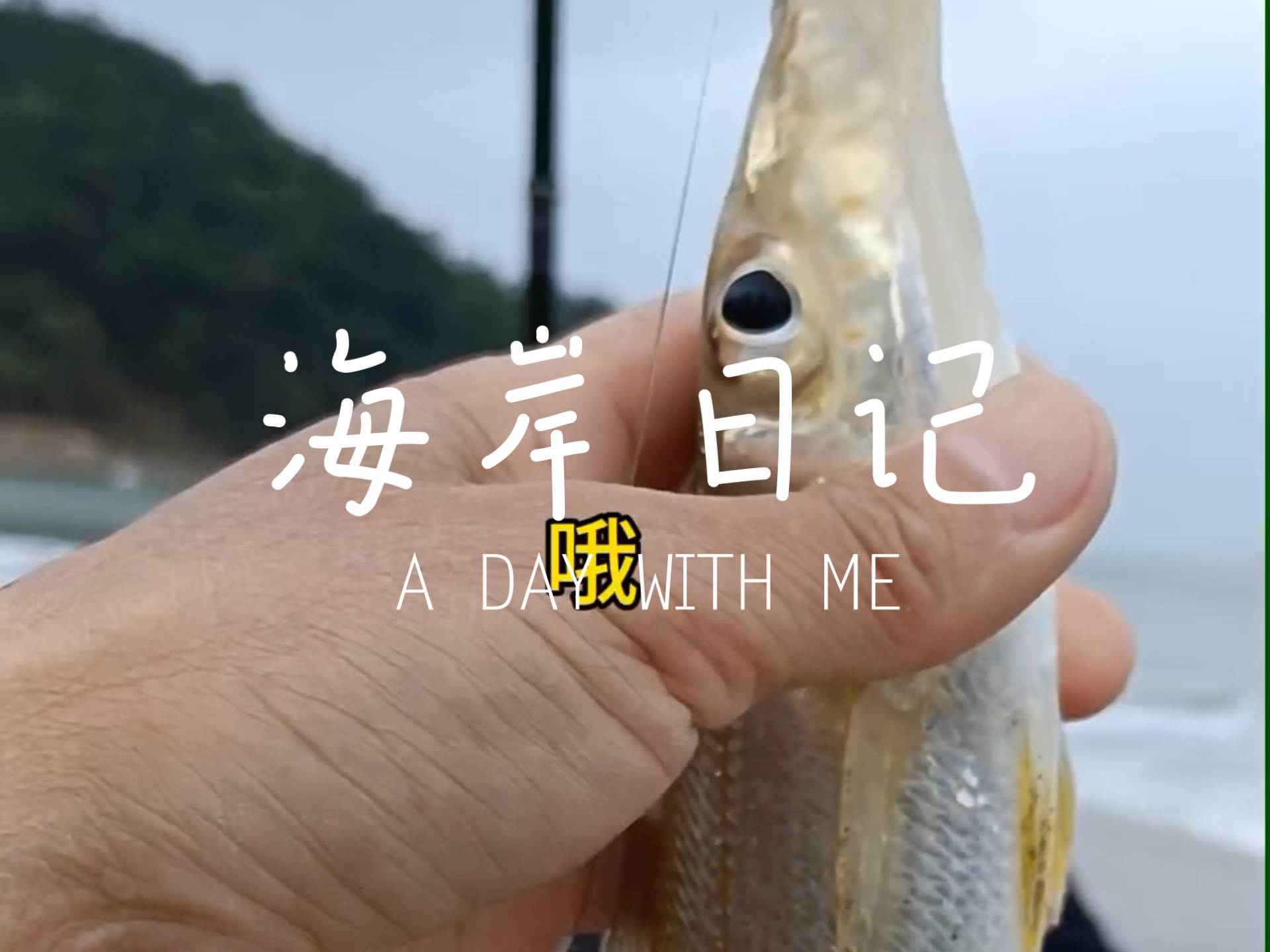 临海钓点(临海可以钓鱼的水库)