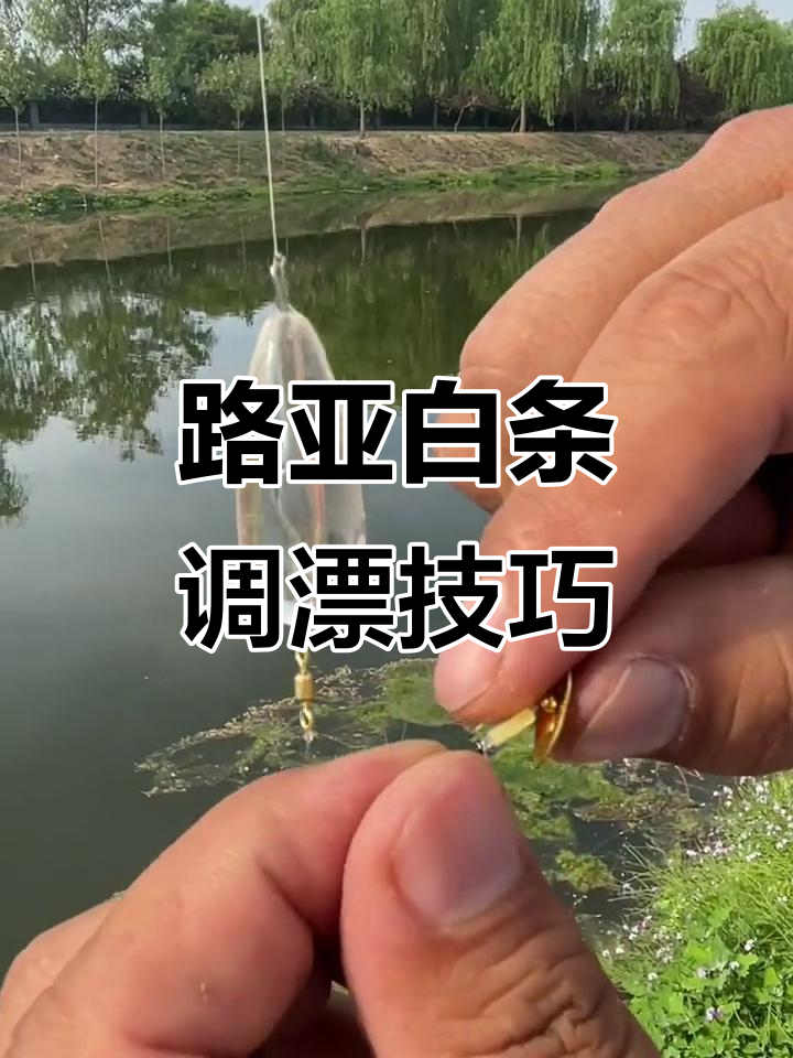 路亚打亮片技巧(路亚亮片打不出去怎么办)
