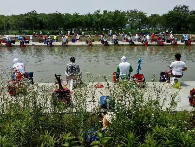 湖南四海钓鱼(四海钓鱼是哪个省的)