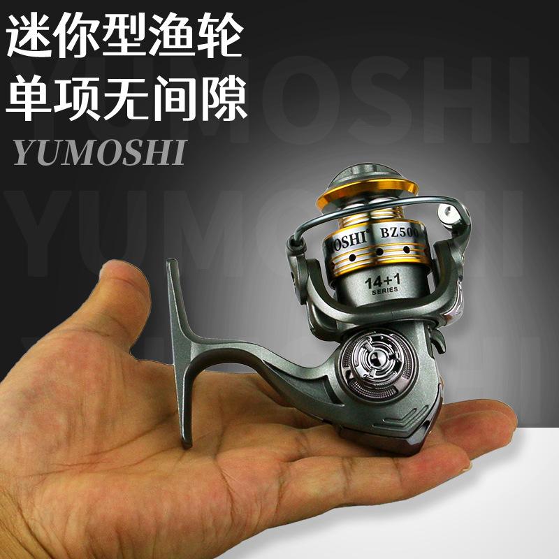 成都摩利根渔具(成都最便宜的蔬菜批发市场)