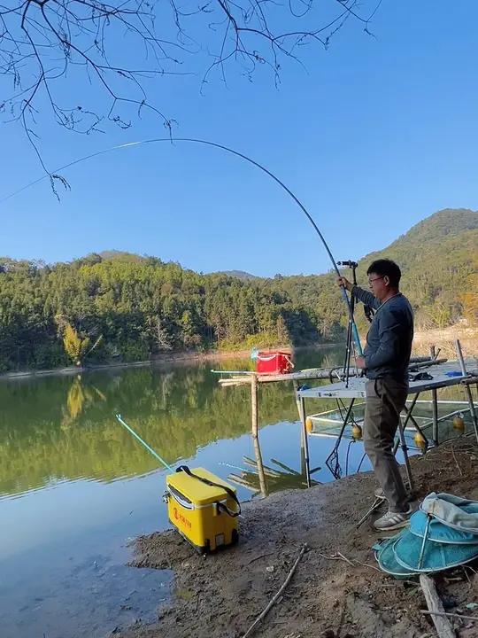 冬季湖库钓青鱼技巧(冬季湖库钓青鱼技巧和方法)
