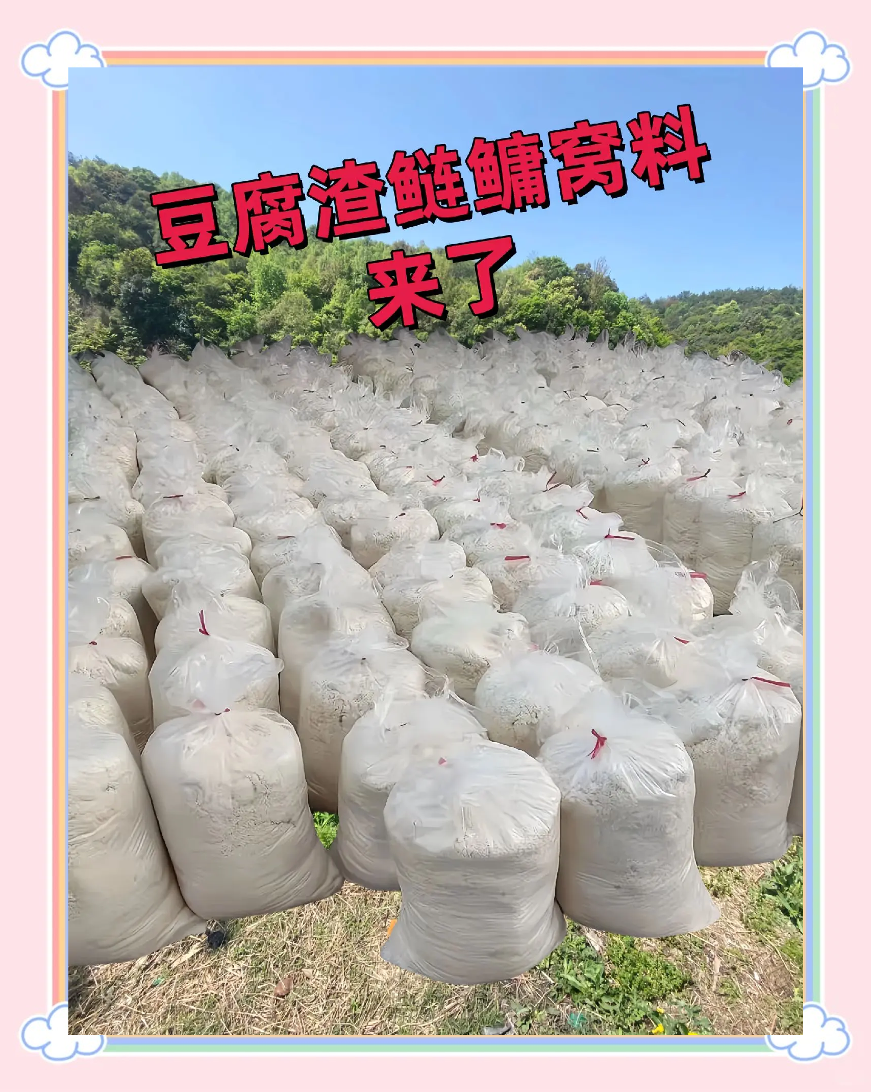 豆渣怎么配饵料(豆渣怎么配饵料好)