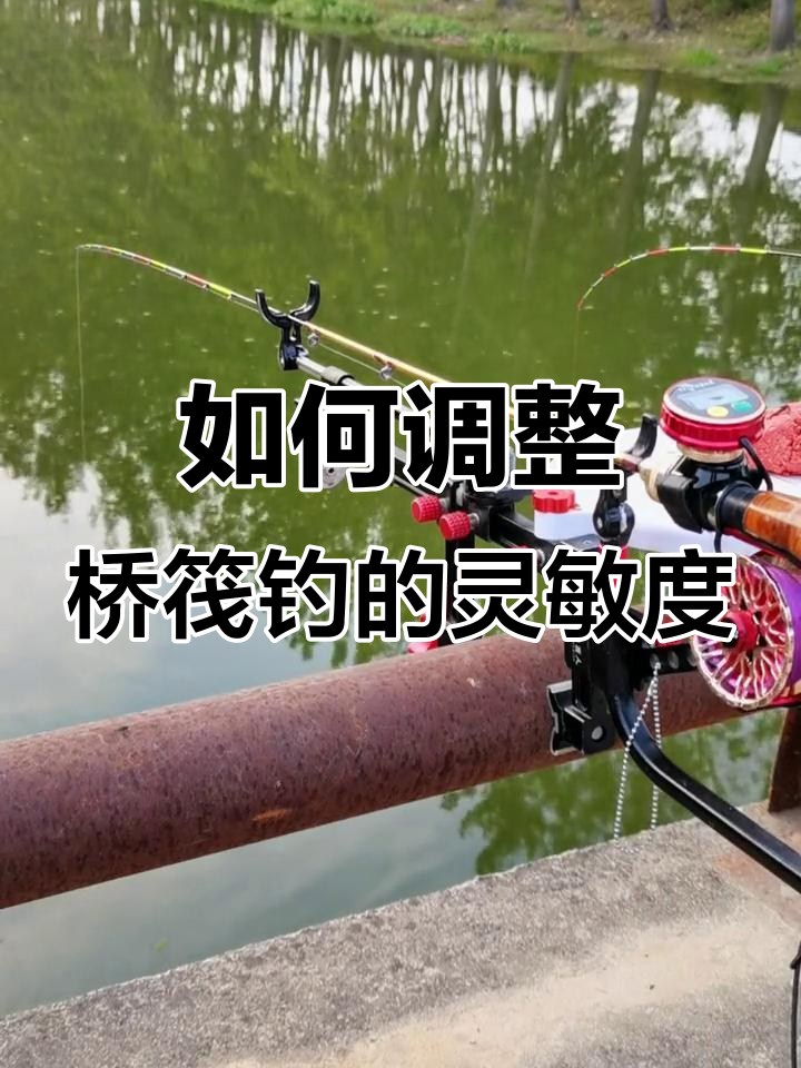 桥筏选点技巧(桥筏钓鱼技巧)