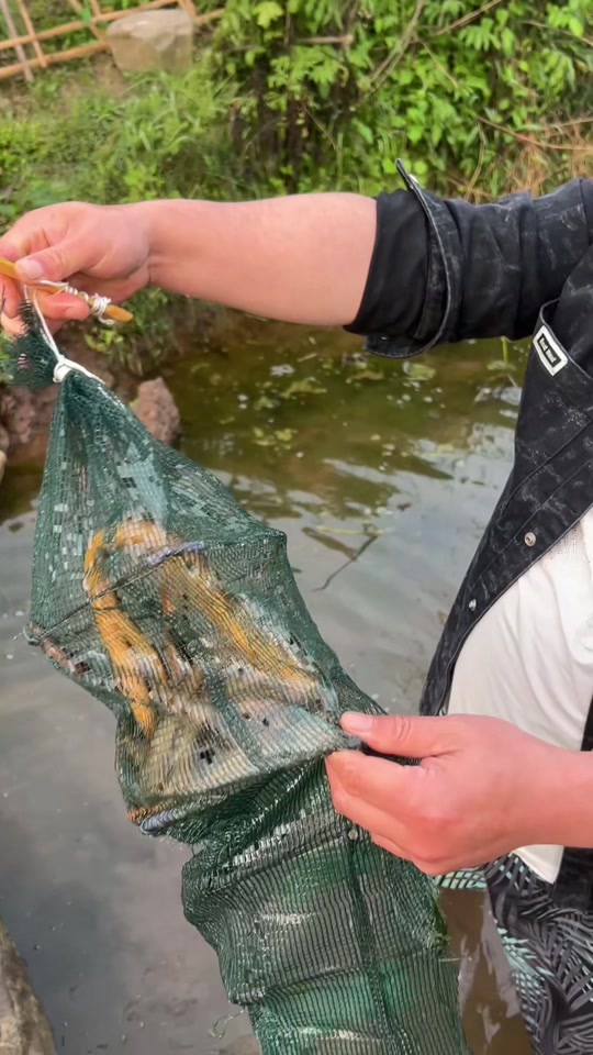 抓黄鳝技巧视频(抓黄鳝技巧视频教程)