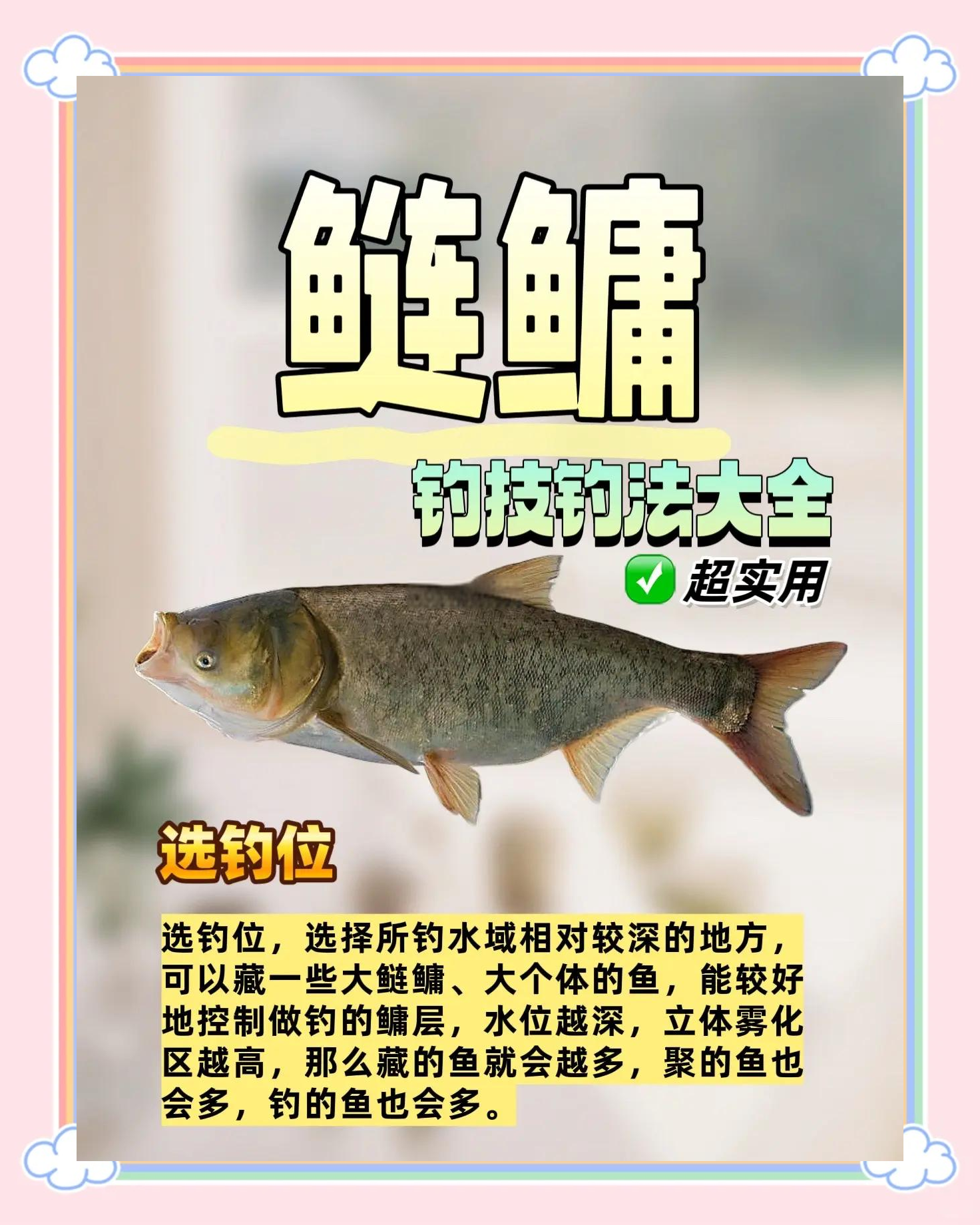 鲢鳙钓技巧和方法(钓鲢鳙计巧)