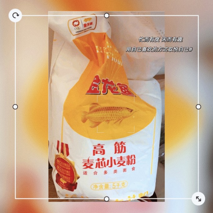 面粉加鱼饵料(面粉加鱼饵料可以增加粘性钓鱼吗)