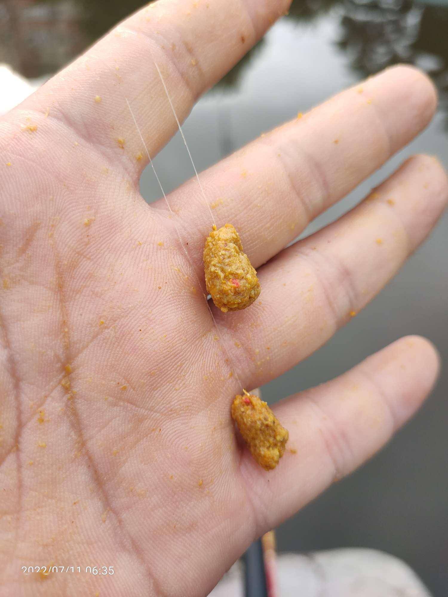 土鲫饵料配方(土鲫钓法)