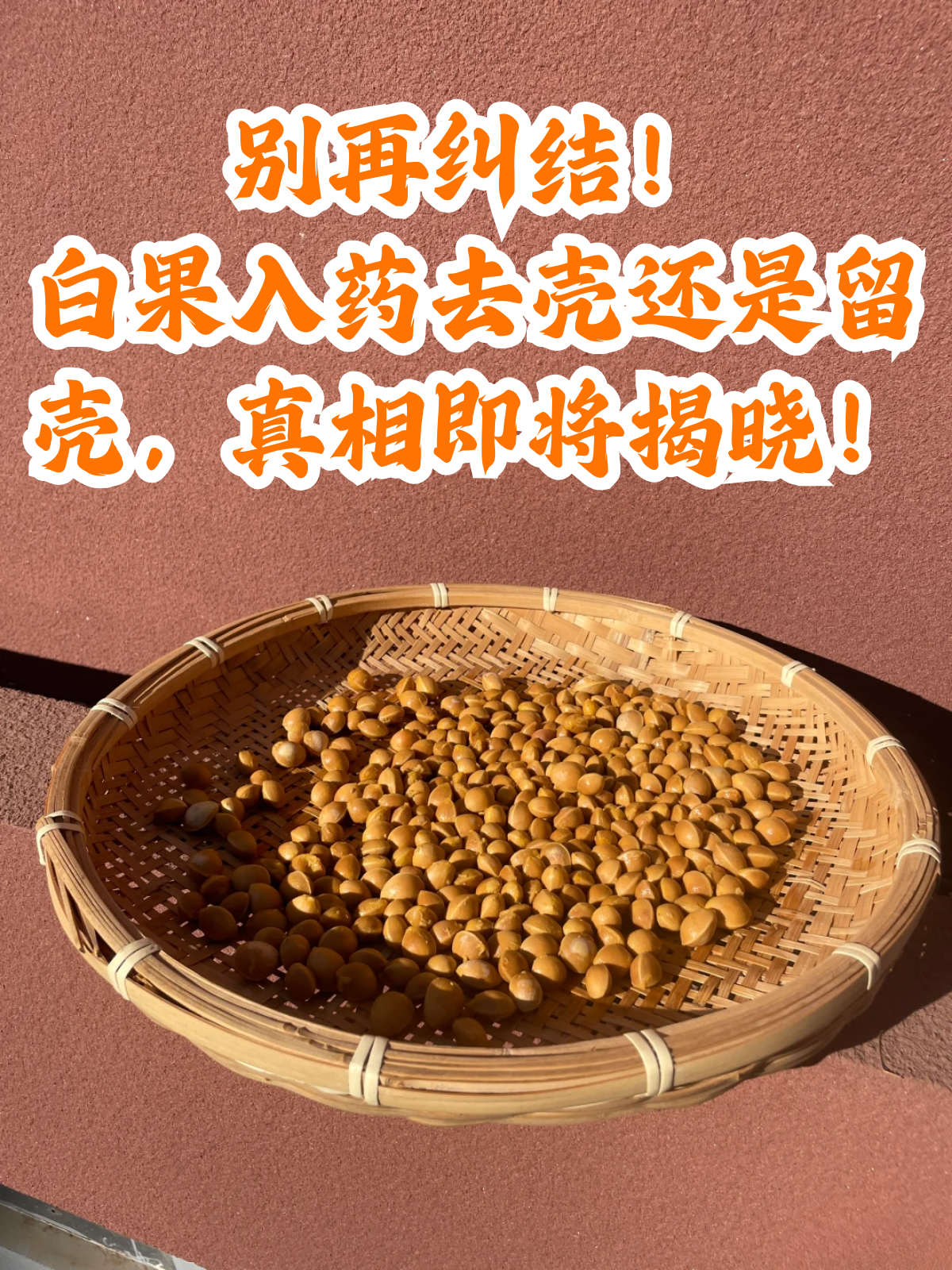 钓白果子的技巧(钓白果子视频)