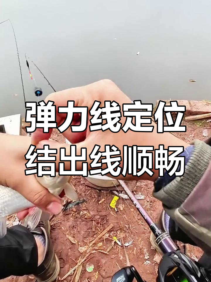 回水弯钓鱼技巧(回水弯图片)