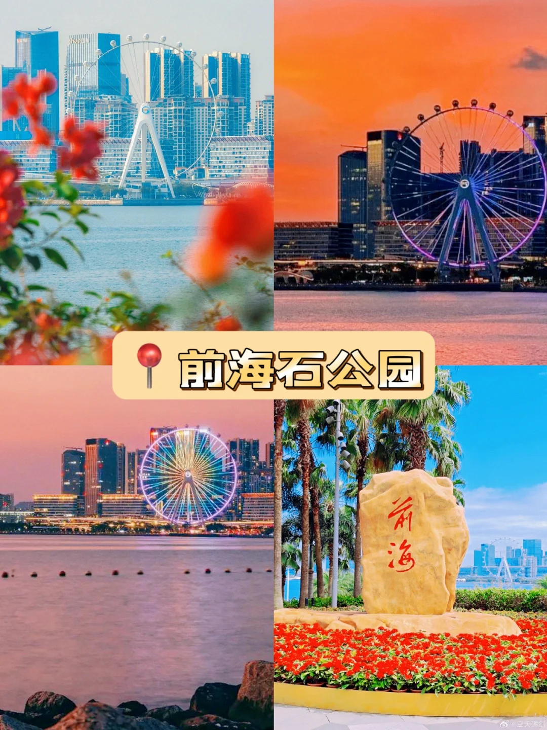 大铲湾海钓(大铲湾是哪个港口)