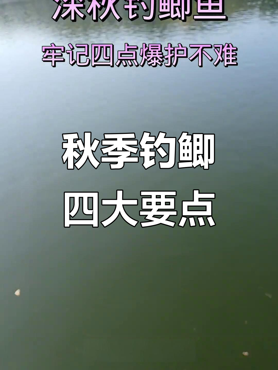 深秋夜晚野钓技巧(深秋夜钓怎么钓)