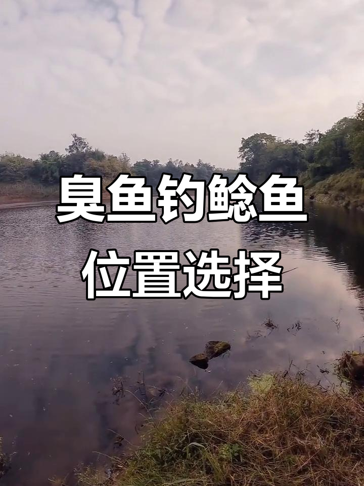 白天能钓鲶鱼技巧(春季钓鲶鱼是白天效果好还是晚上效果好)